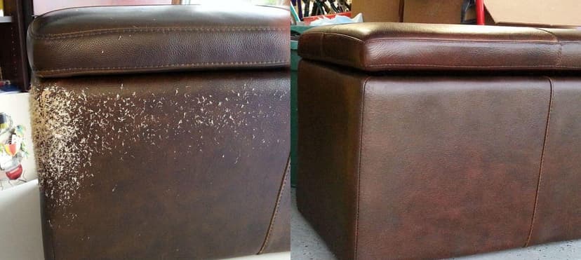 Leather Restoration Example 5