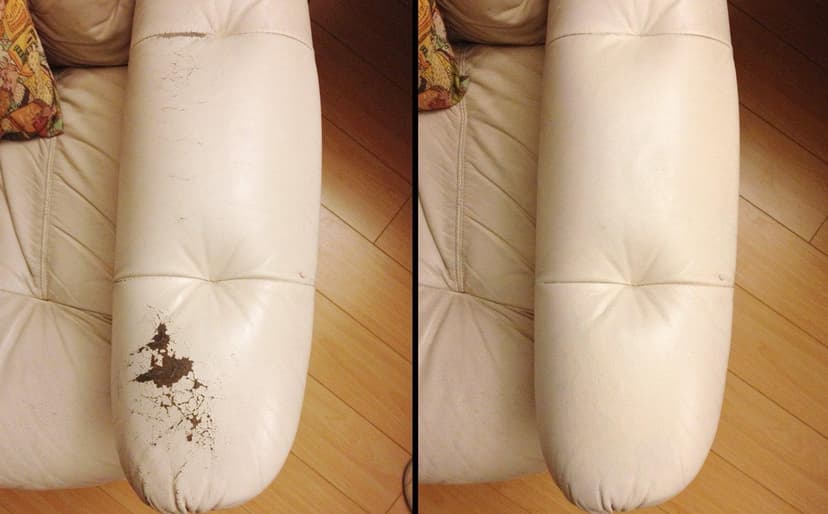 Leather Restoration Example 6